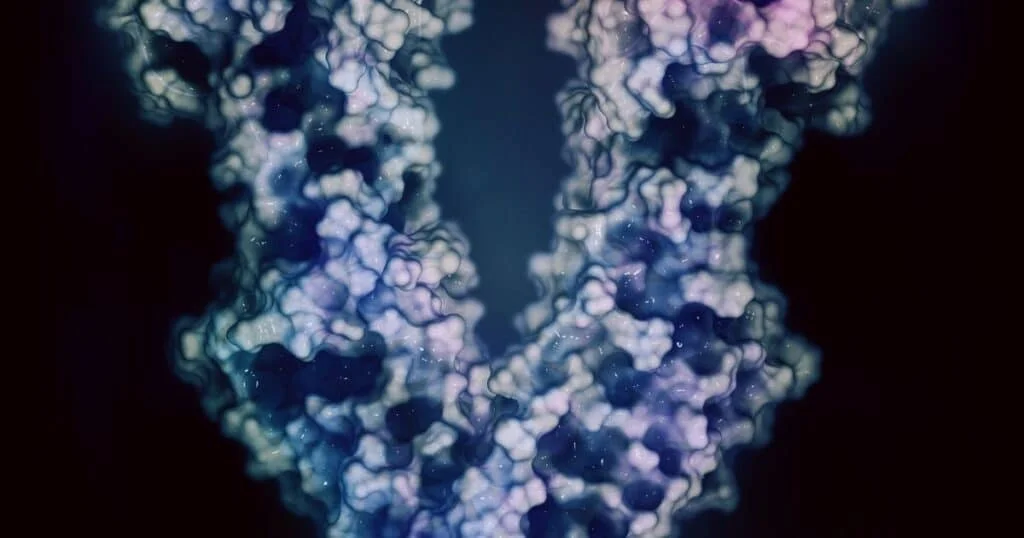 pharmacodynamic vs pharmacokinetic